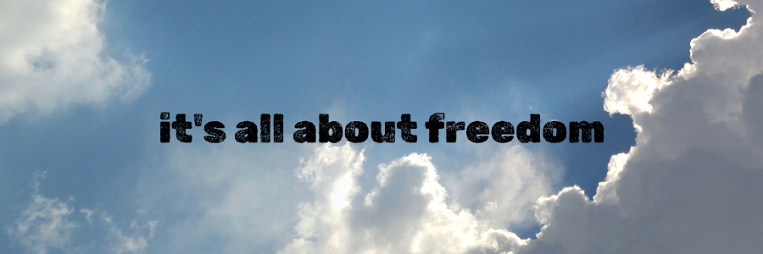 Roman The Free Man