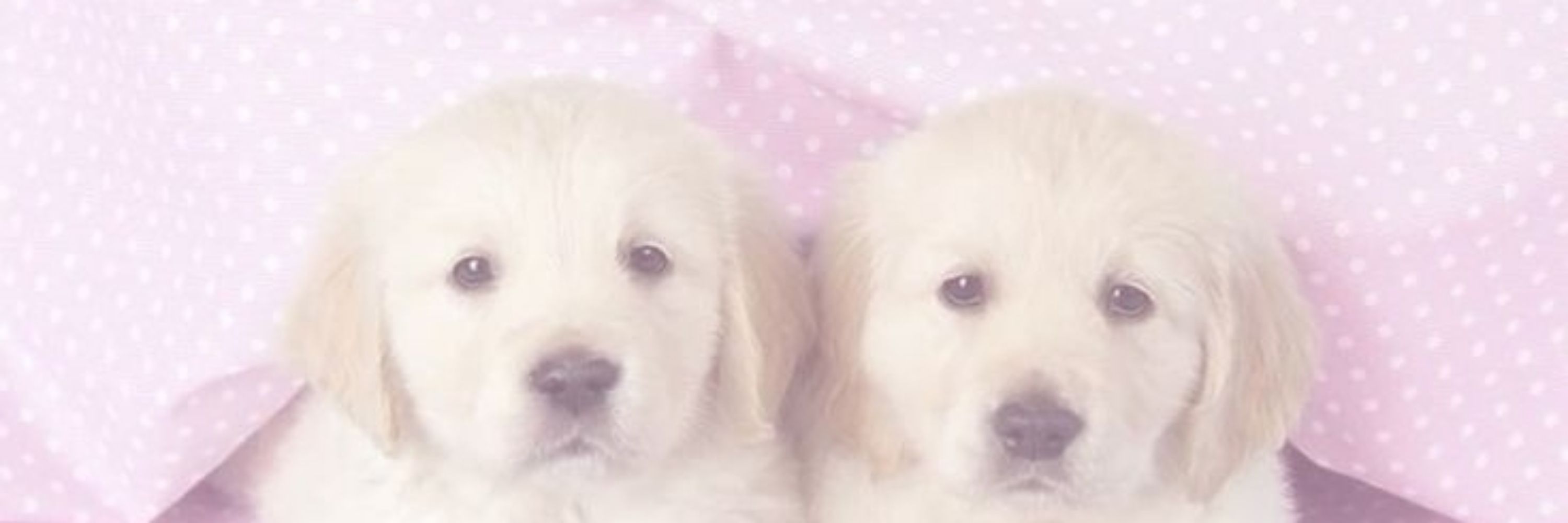 manu >_<