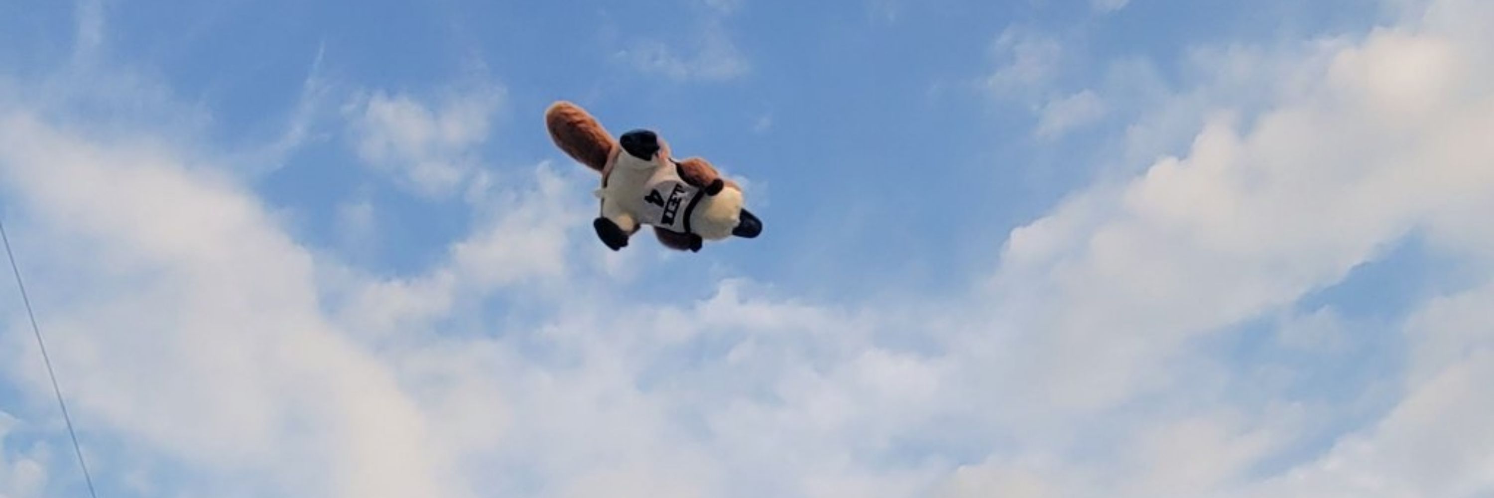 림🏀