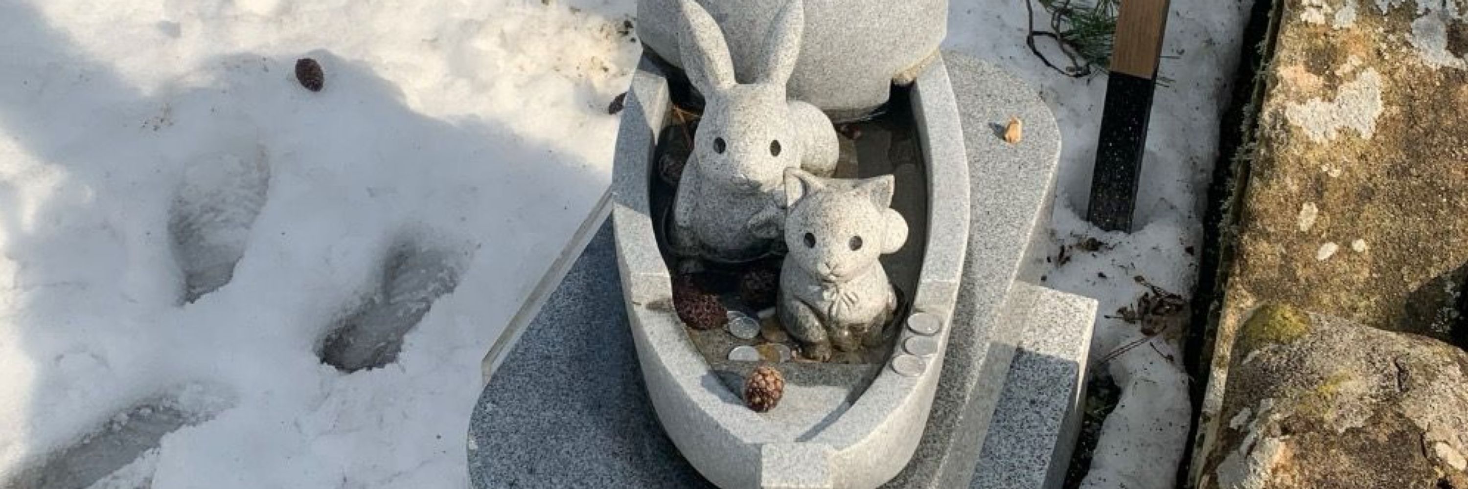 🌁しくジル