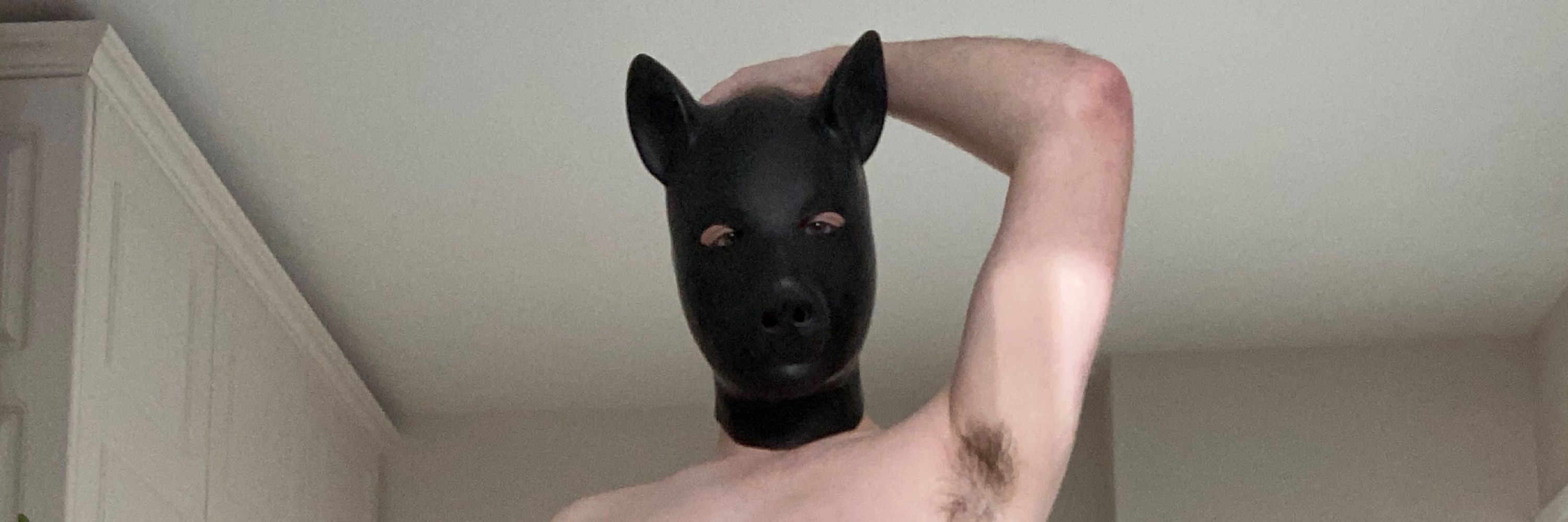 Irish Rubber Pig