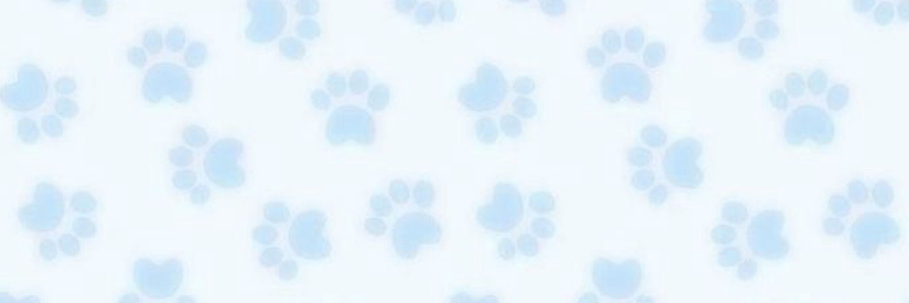 COCO! 🐾 / MALES DNI 🔞