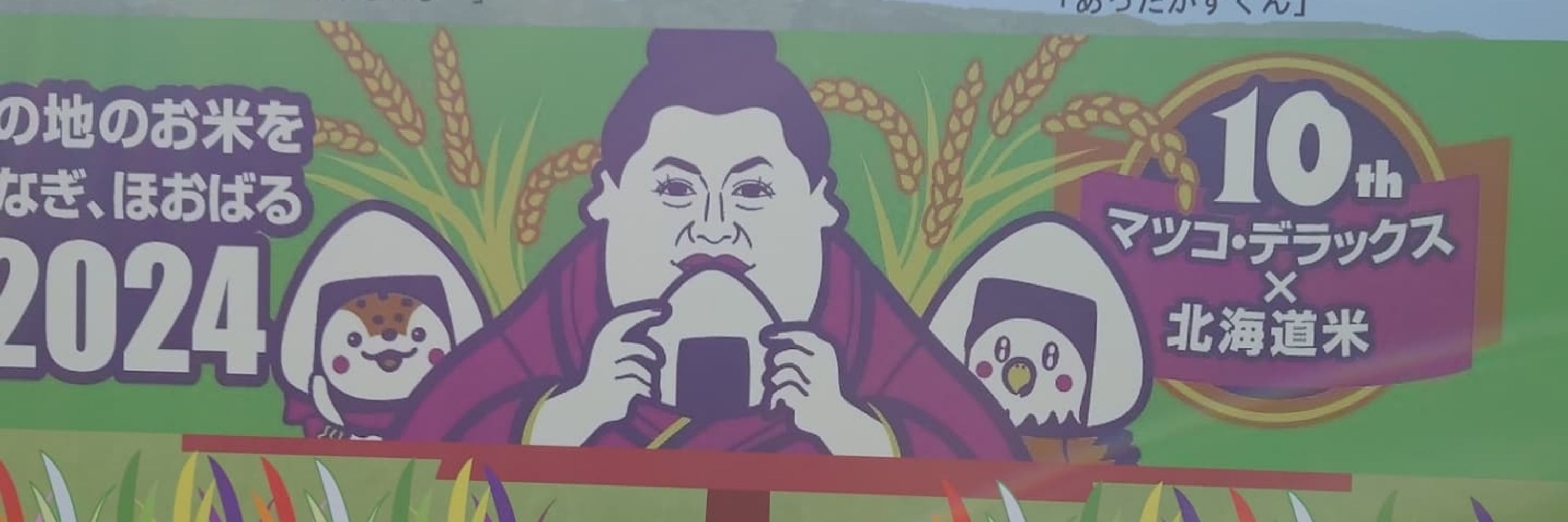 白猫