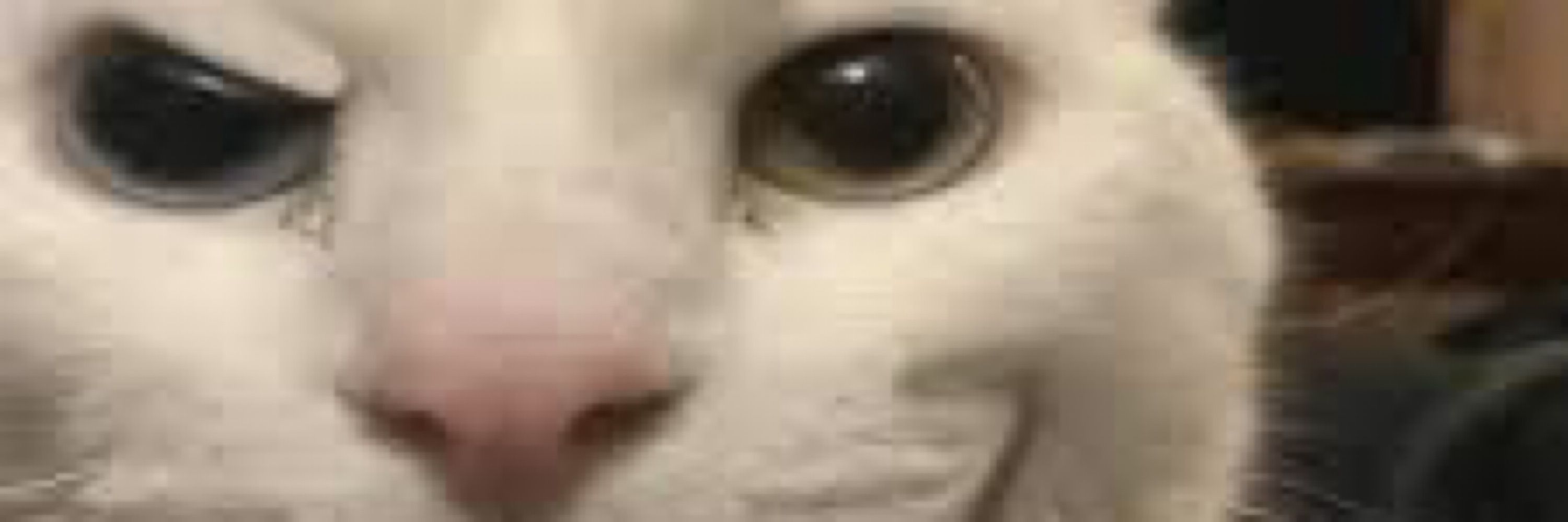 MADI 🪽