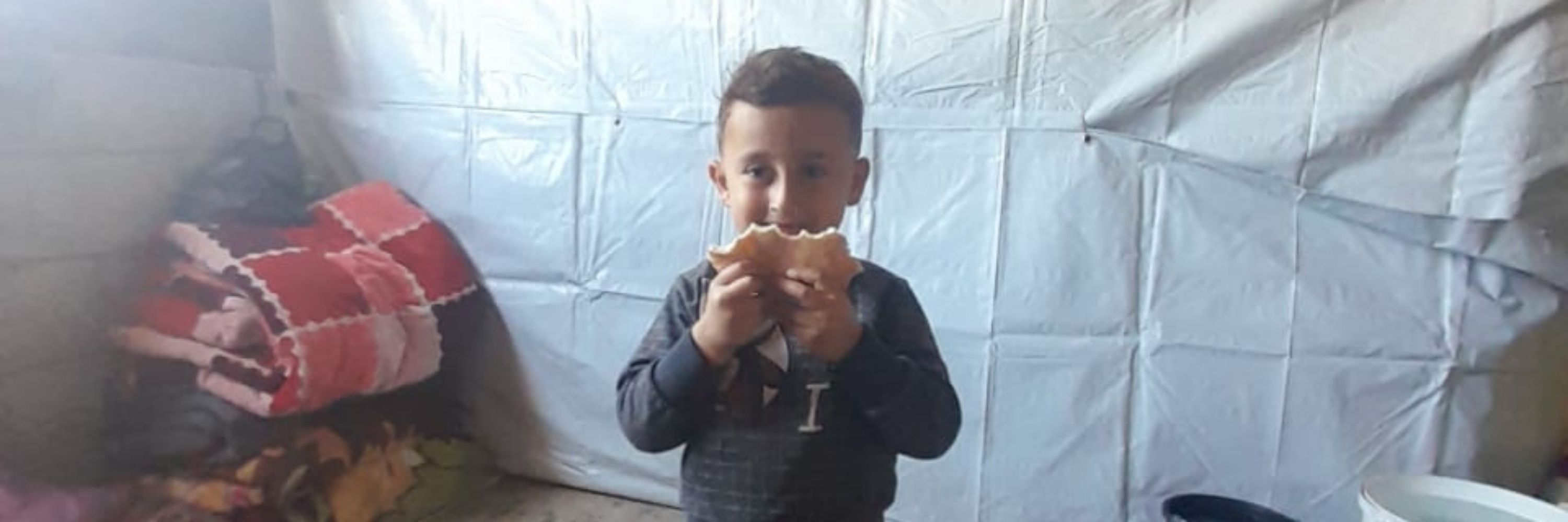 Mohamed farhat