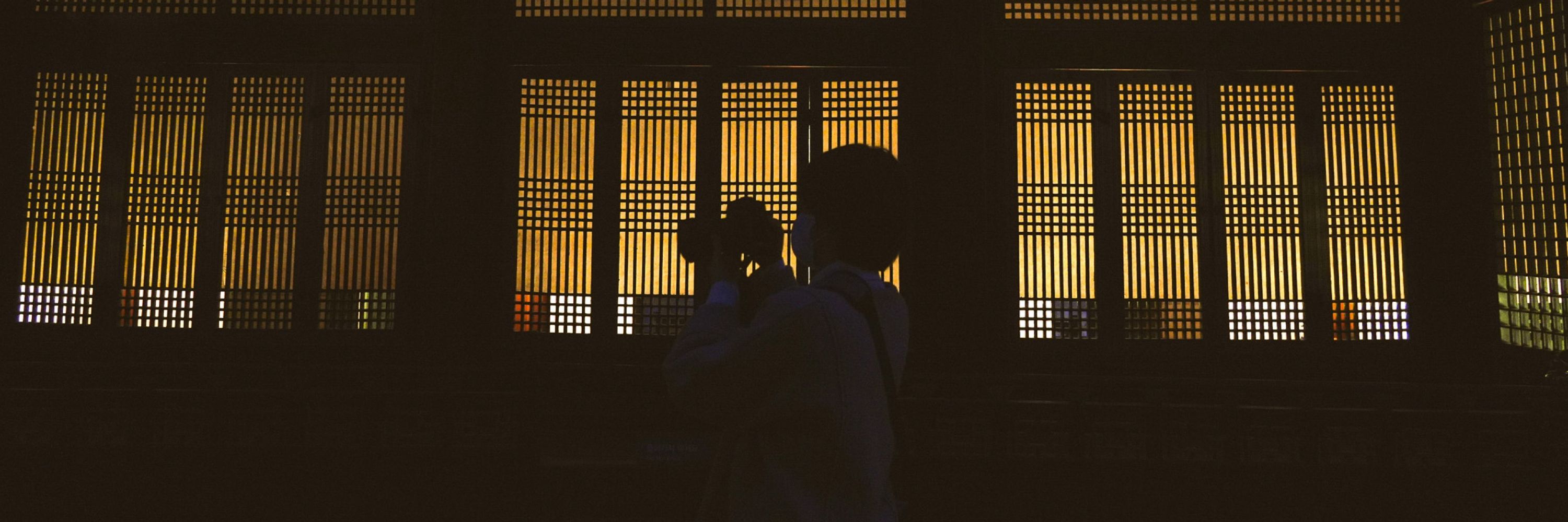 제제🌙