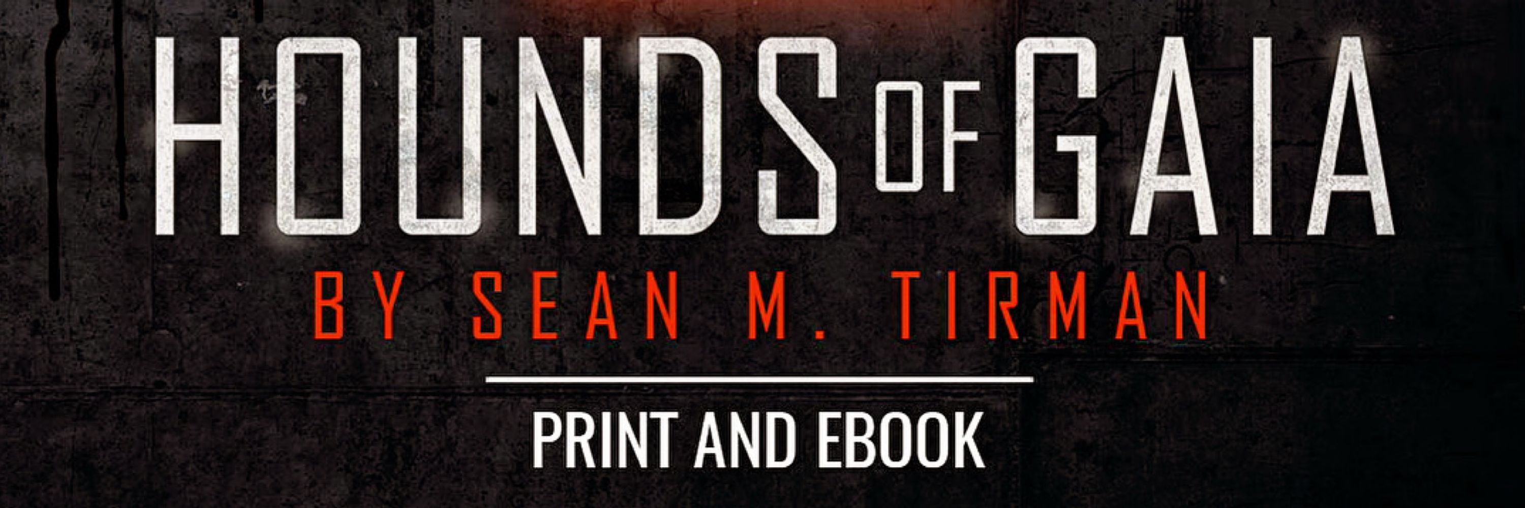 Sean M. Tirman, author