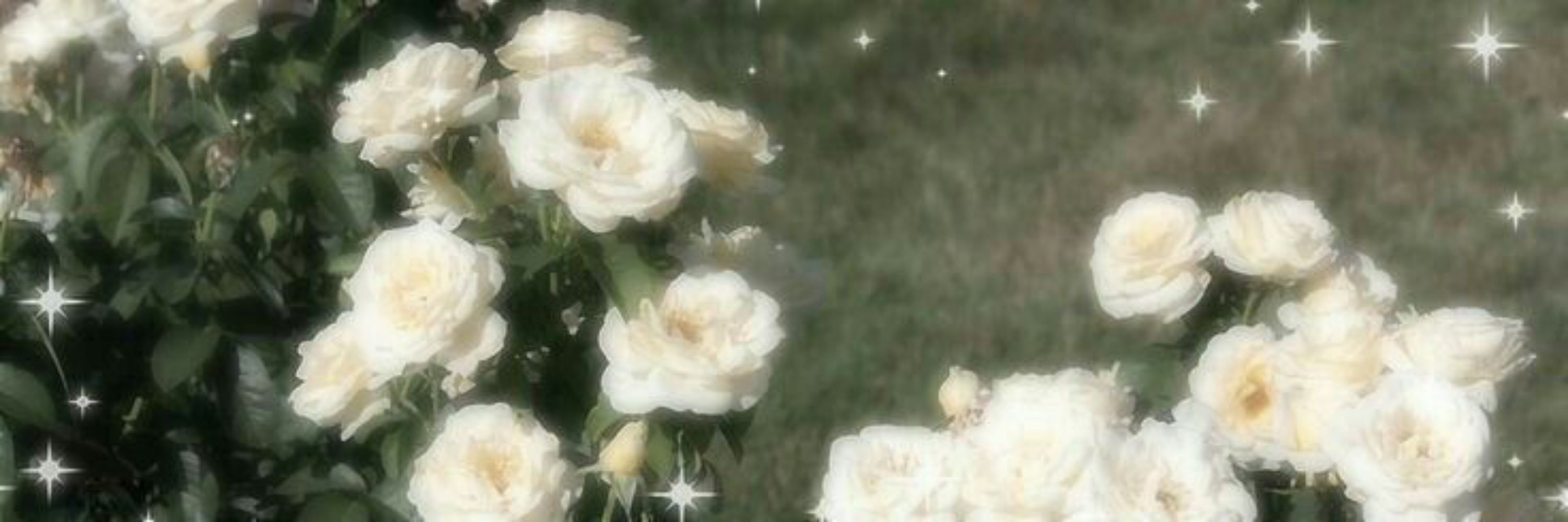 ꧁༒𝓜𝓸𝓵𝓵𝔂༒꧂