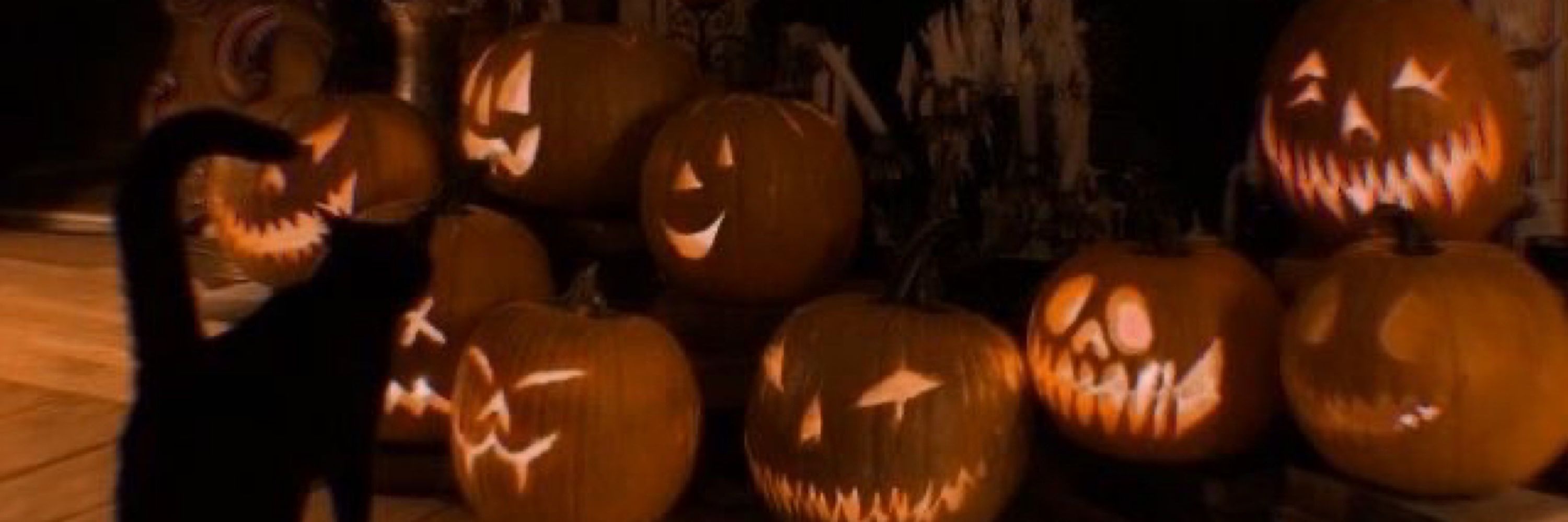 MidnightCity🎃