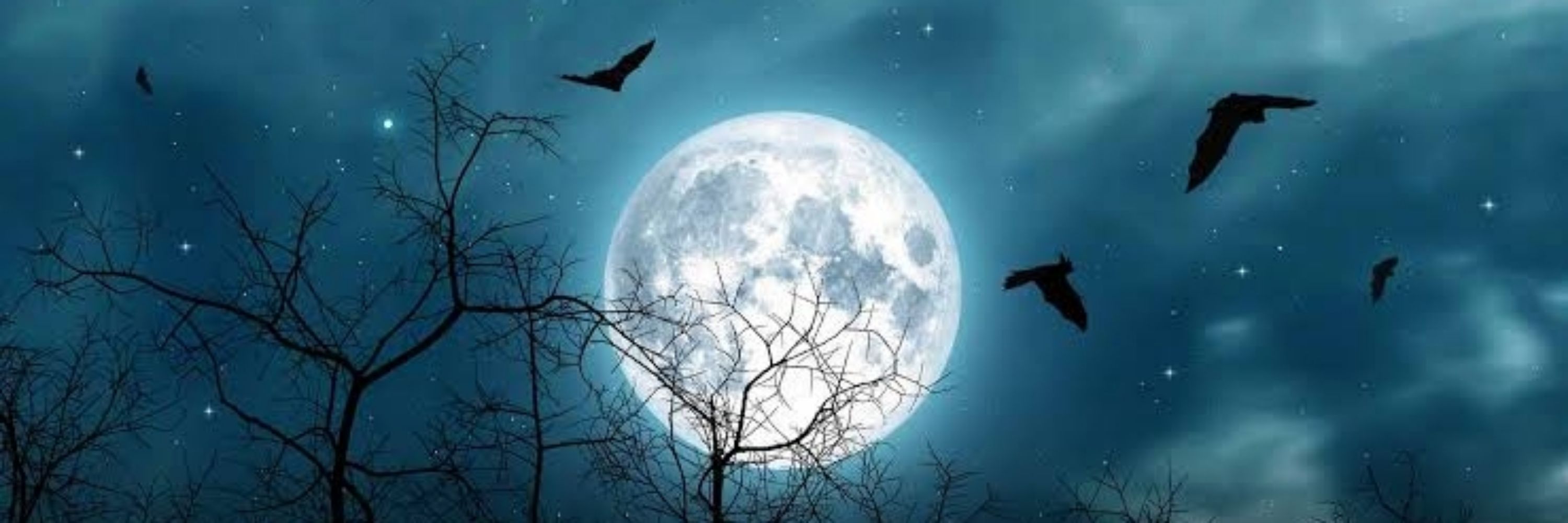 Lunita🌕