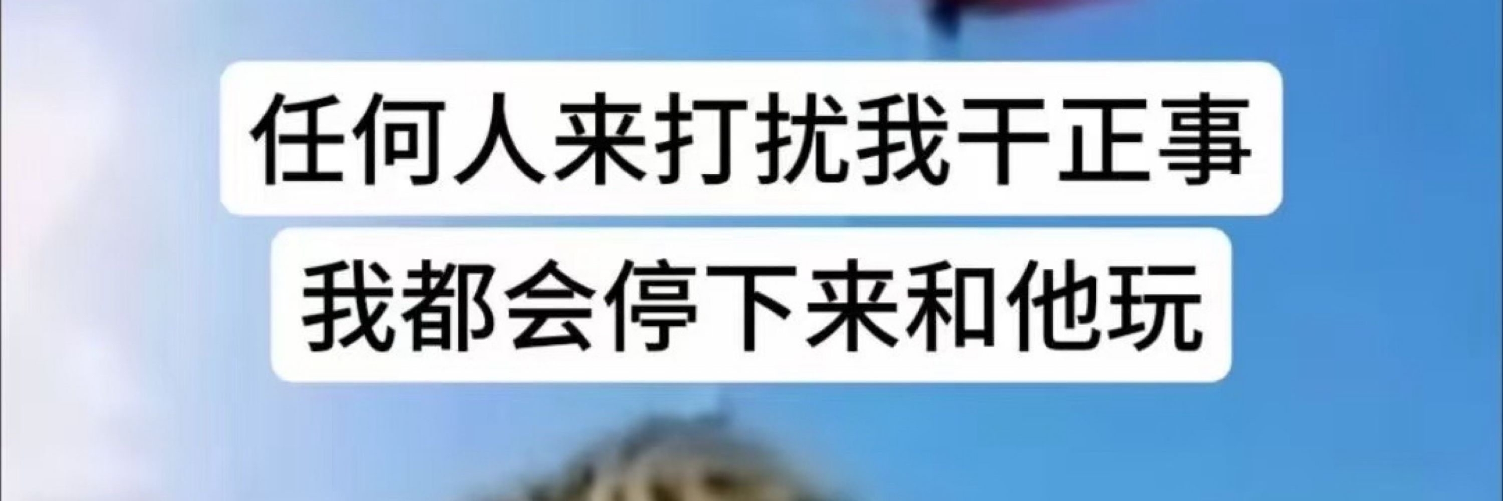纯净爱