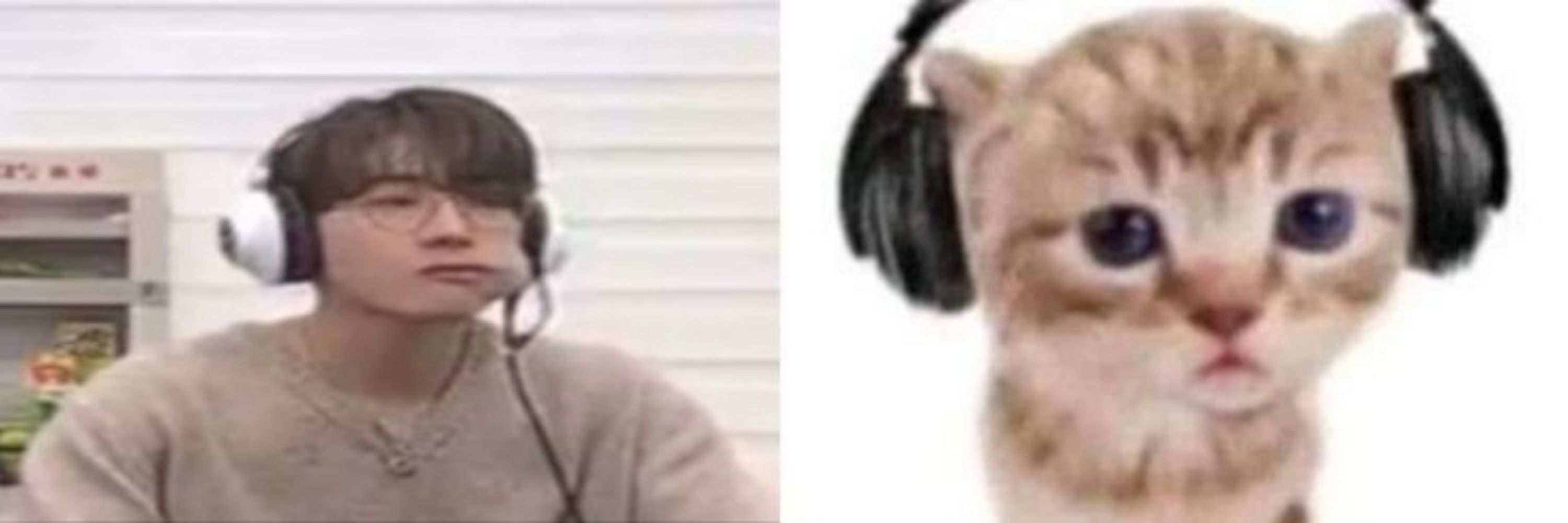 Dandan⁹+¹³