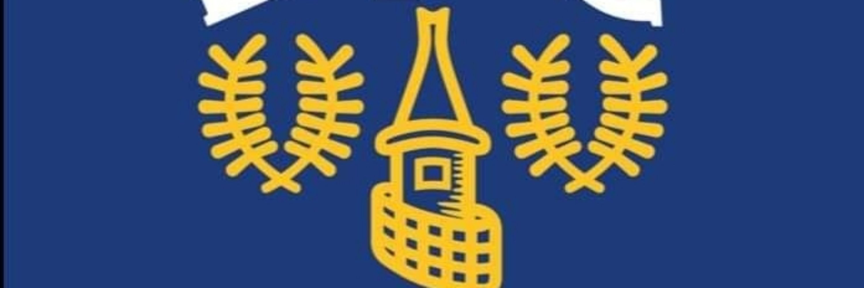  THE STIN Utrinque Paratus