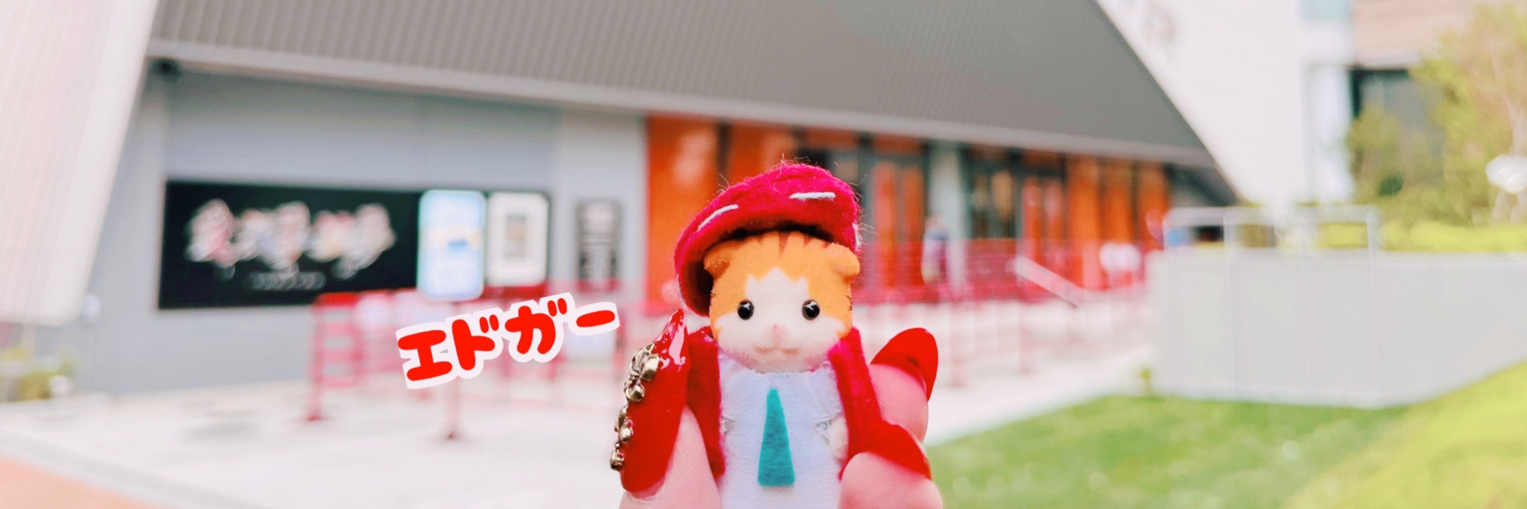 けのは