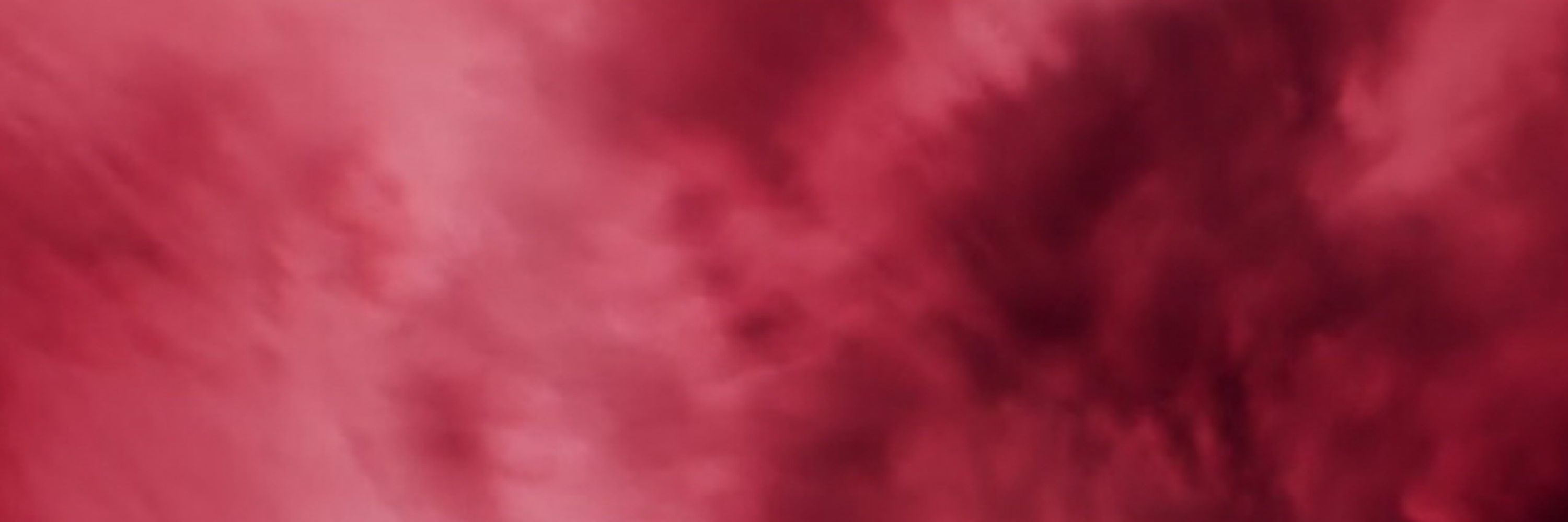 👁️‍🗨️OBLVN