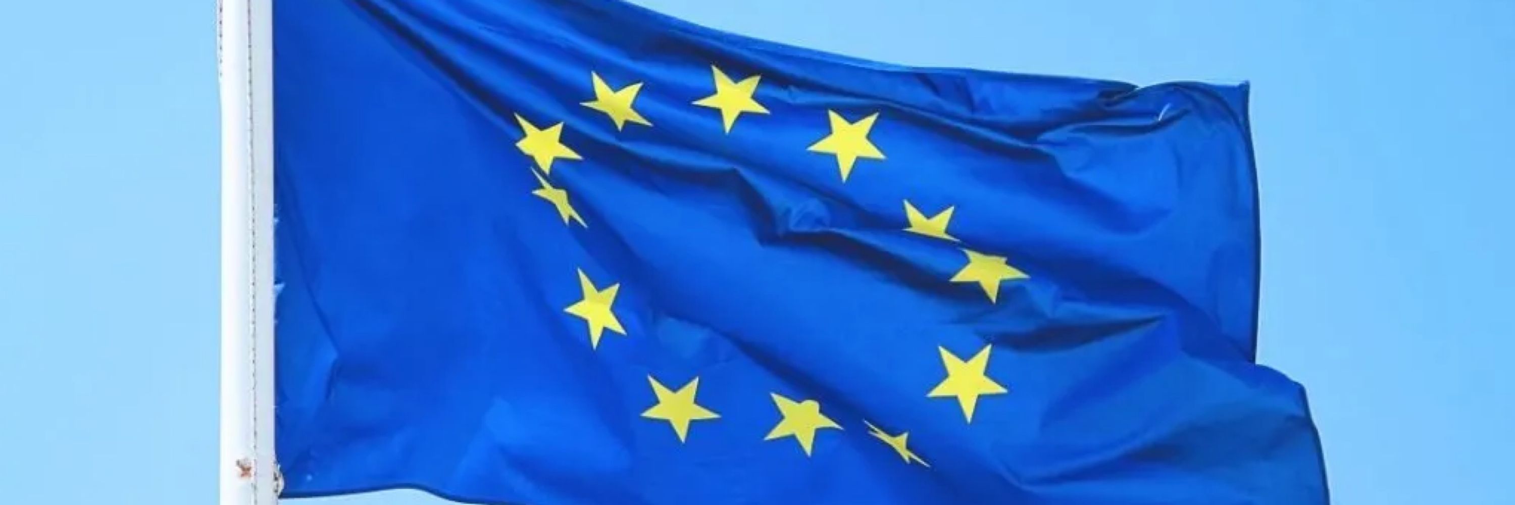Pin #FBPE