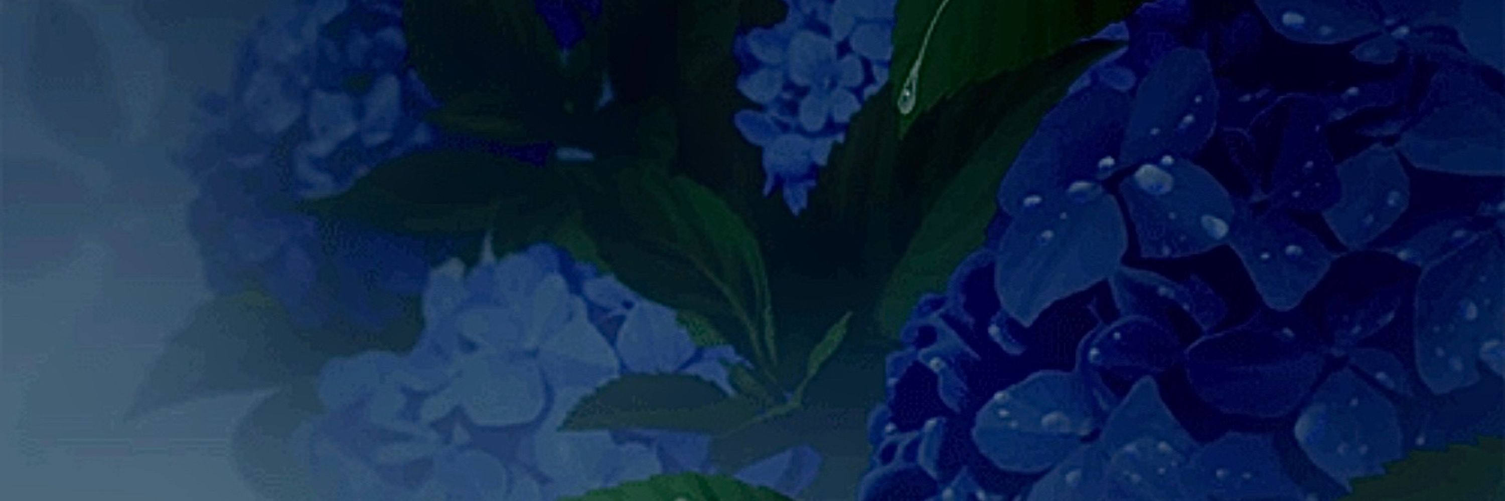 hyacinth!!