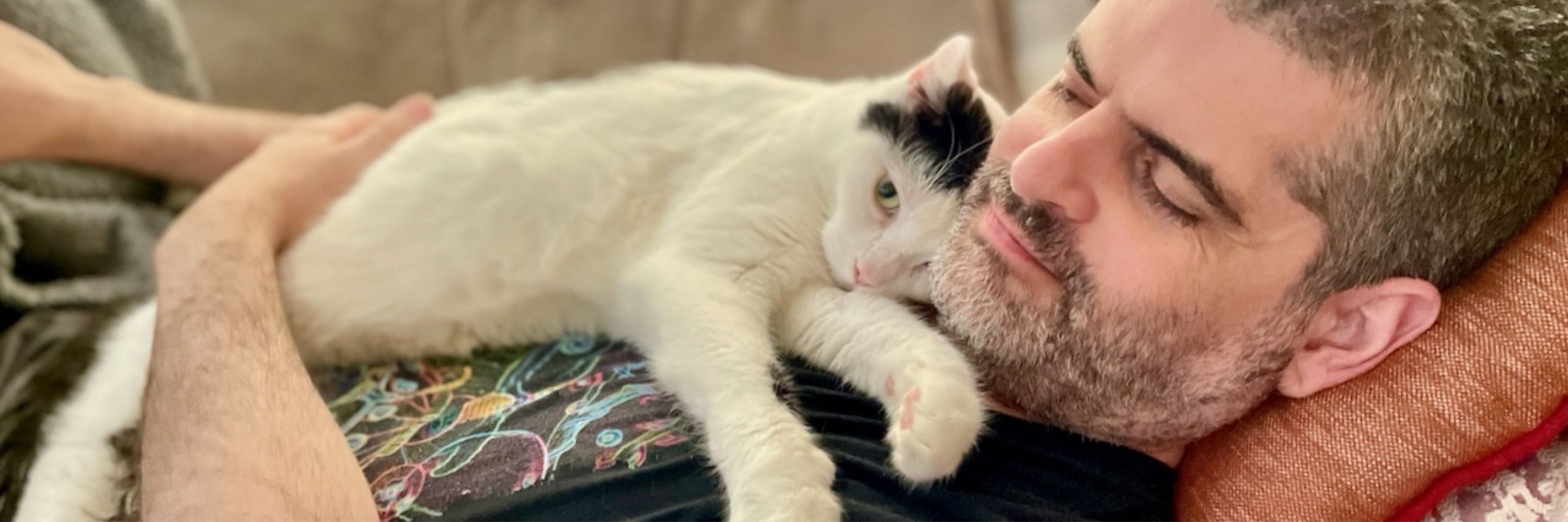 Bernardo Kastrup’s Cat 