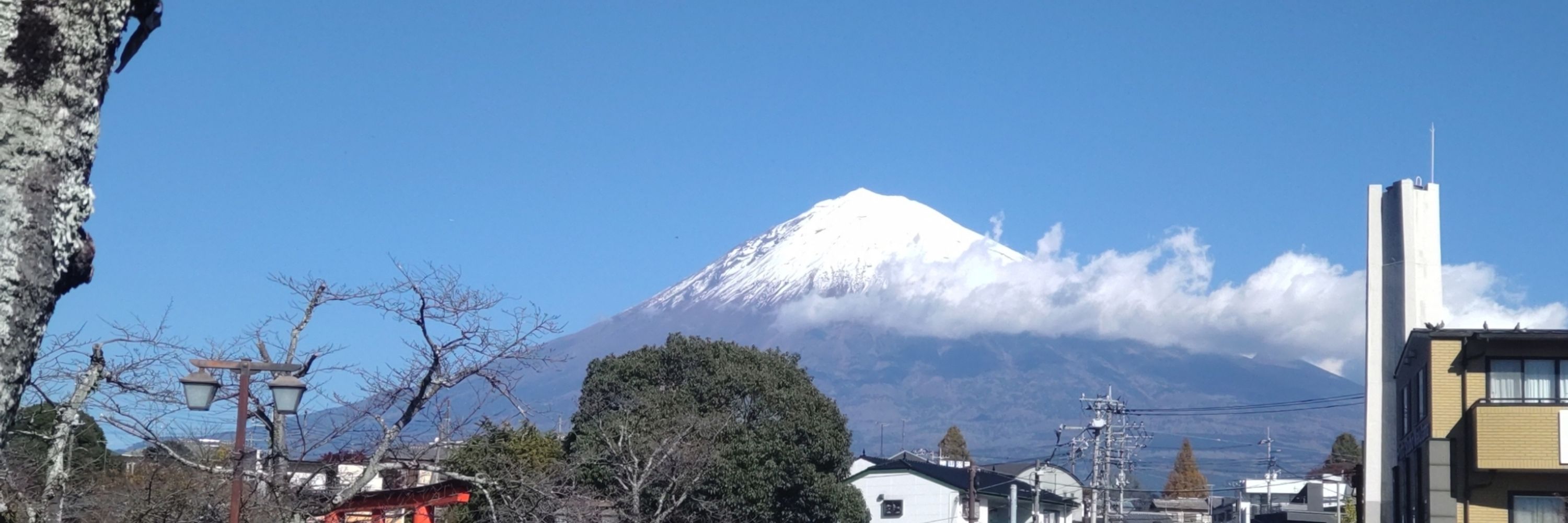 ラン。