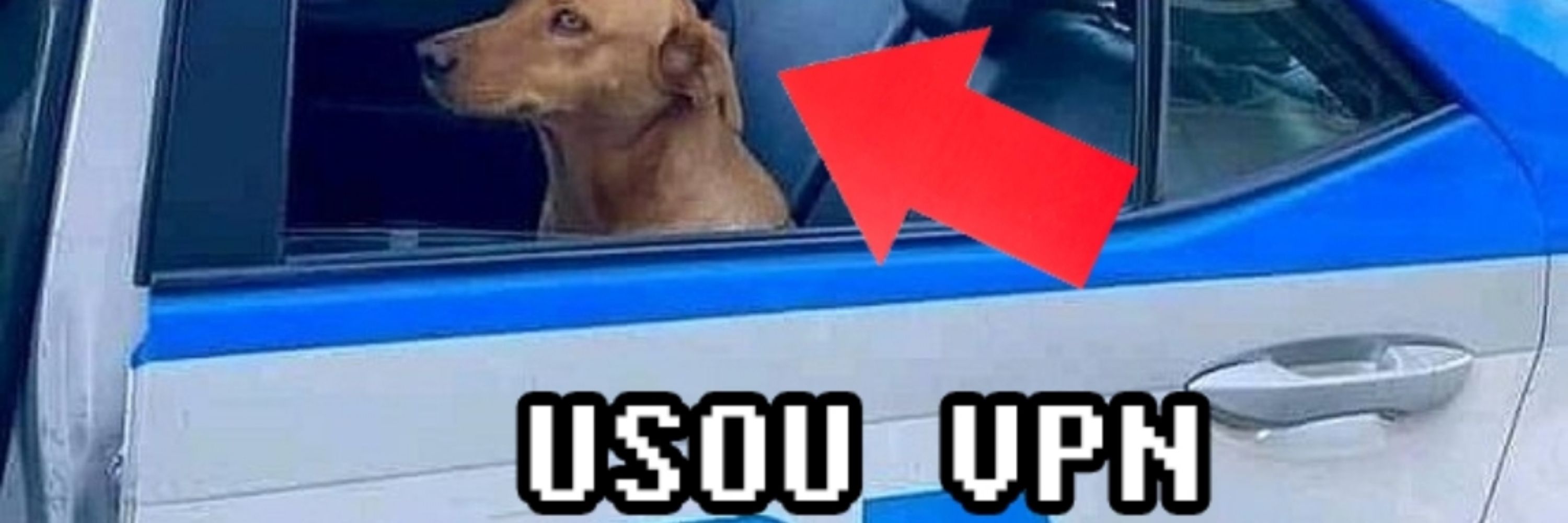 RafaelShowza
