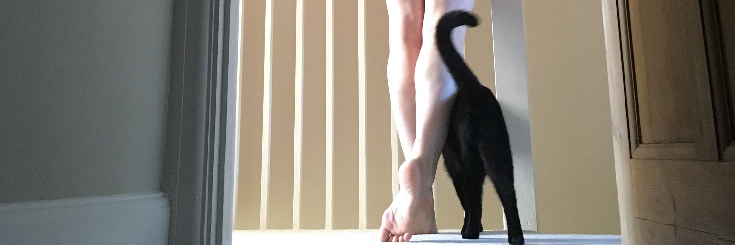 Katteroo