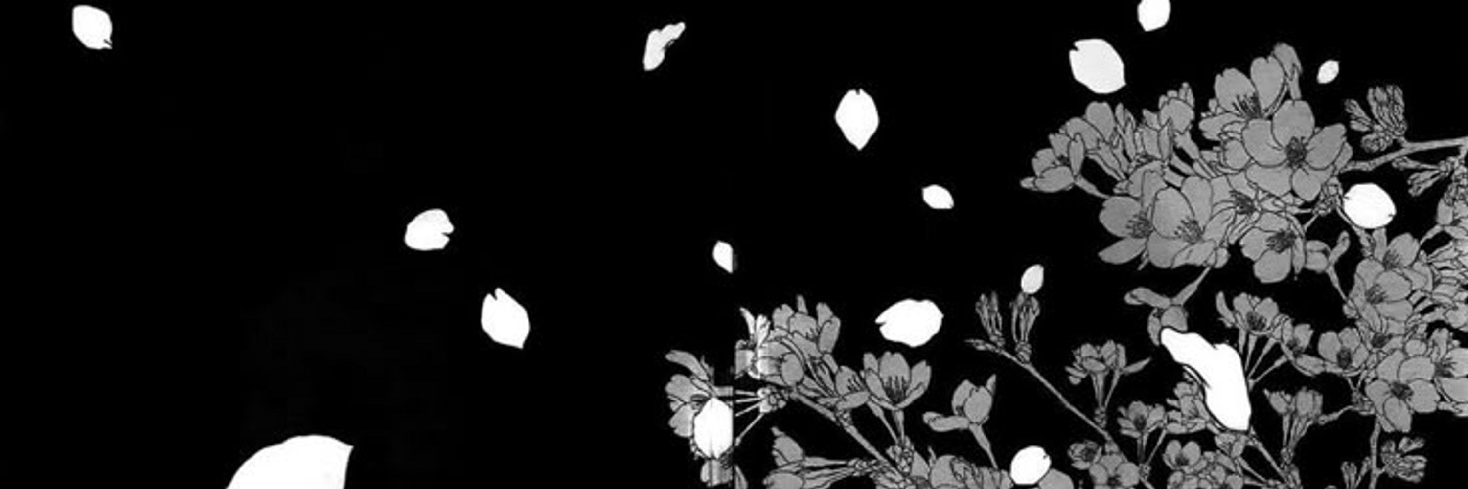 Today~🏵️