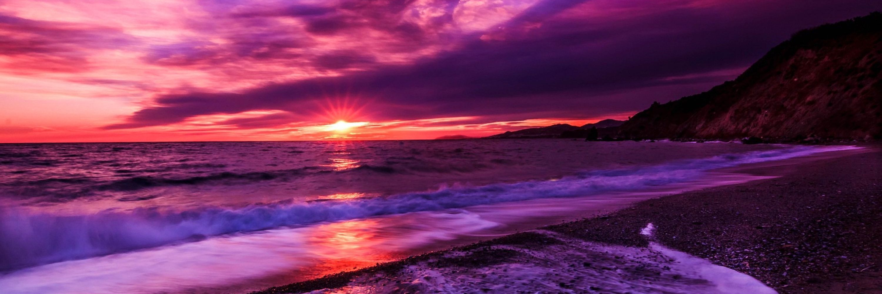 Violet Rose
