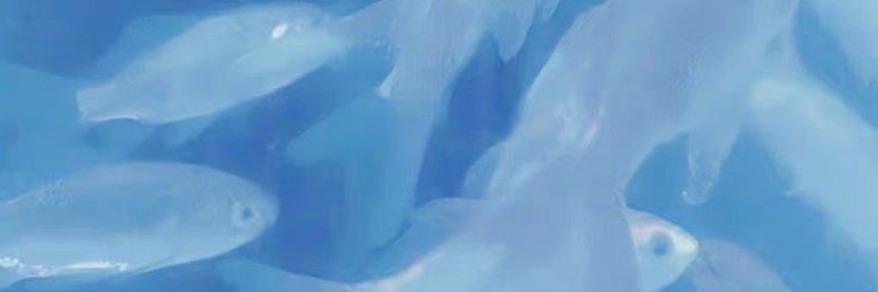 휴