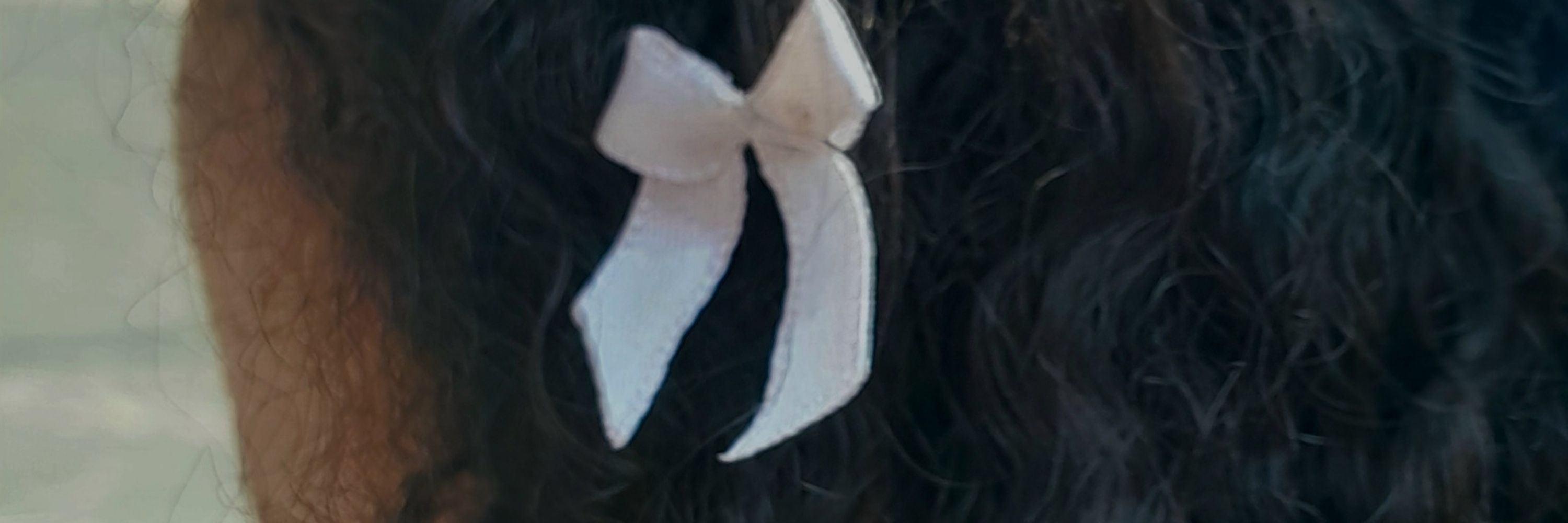 𝐓𝐡𝐚𝐥𝐢𝐭𝐚 𝐍𝐚𝐬𝐜𝐢𝐦𝐞𝐧𝐭𝐨