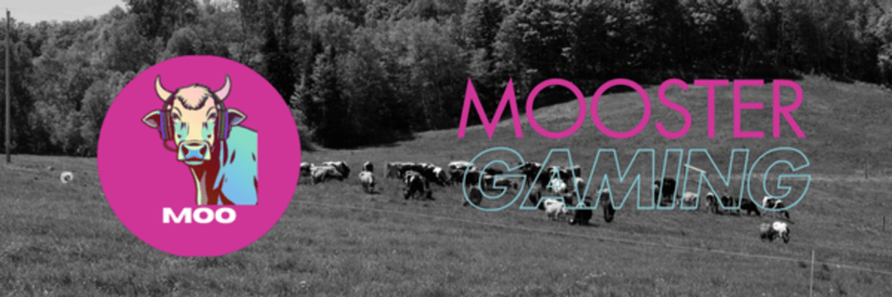 Mooster 🐮 Cow VTuber