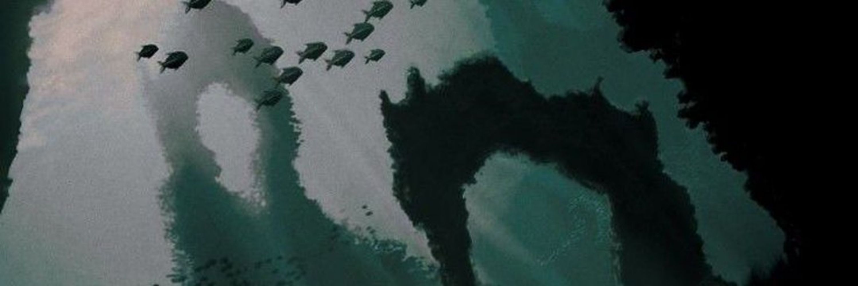𝕻𝖔𝖘𝖊𝖎𝖉𝖔𝖓.