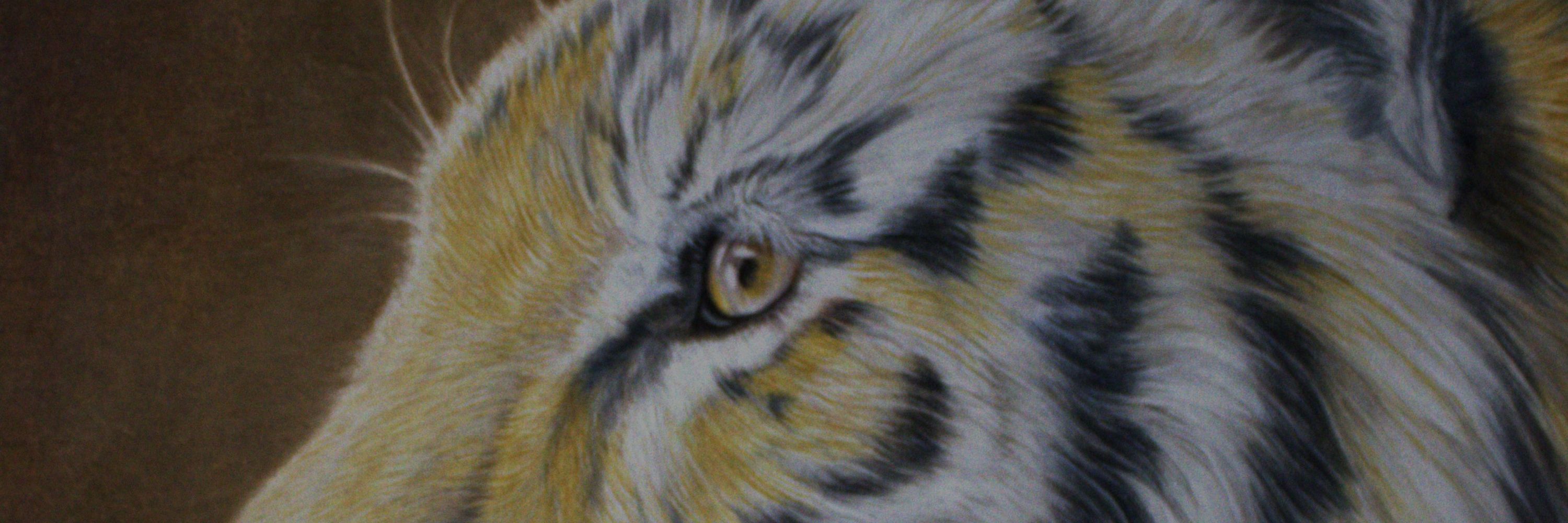 Deidra Smith Animal Art Wildlife Art