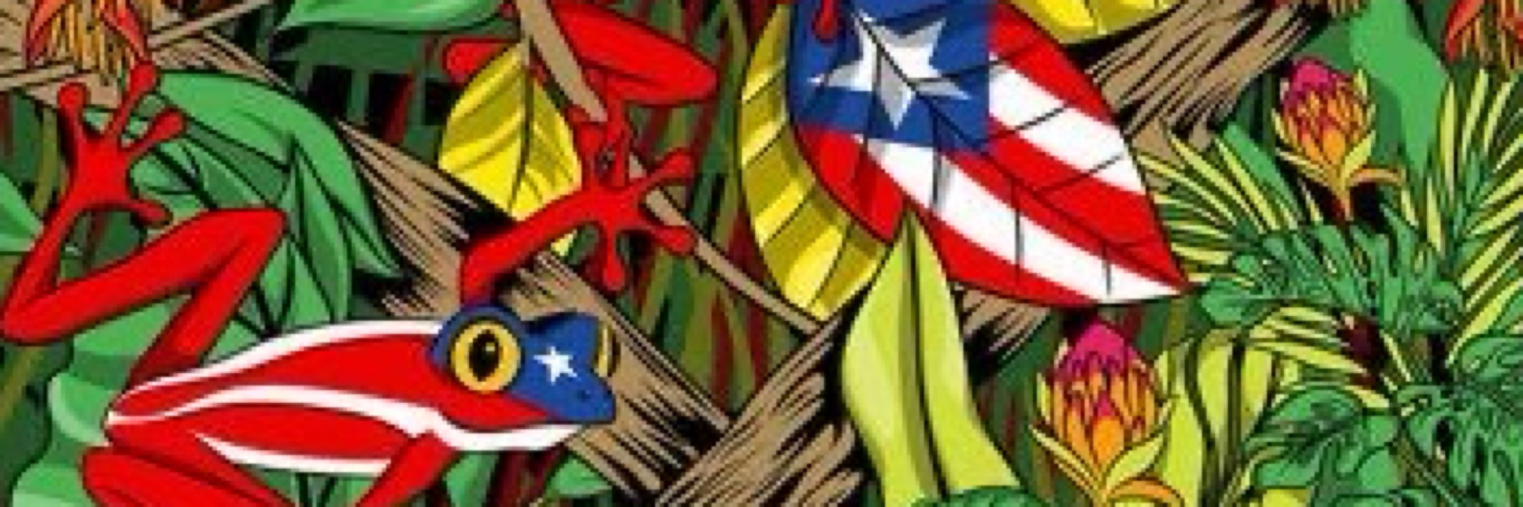🌻💙🇵🇷Milagros🐦‍🔥💗🌻