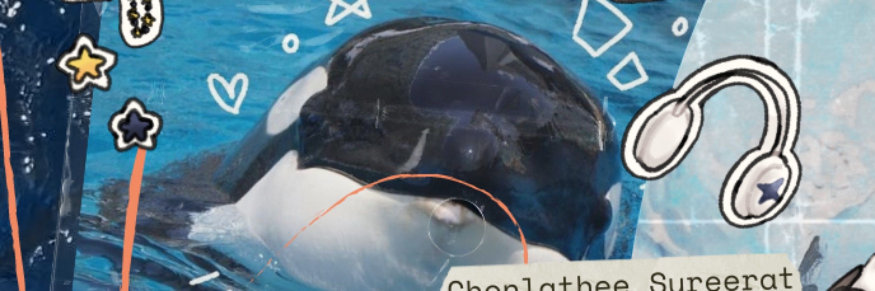 Orca (ตอบช้า)