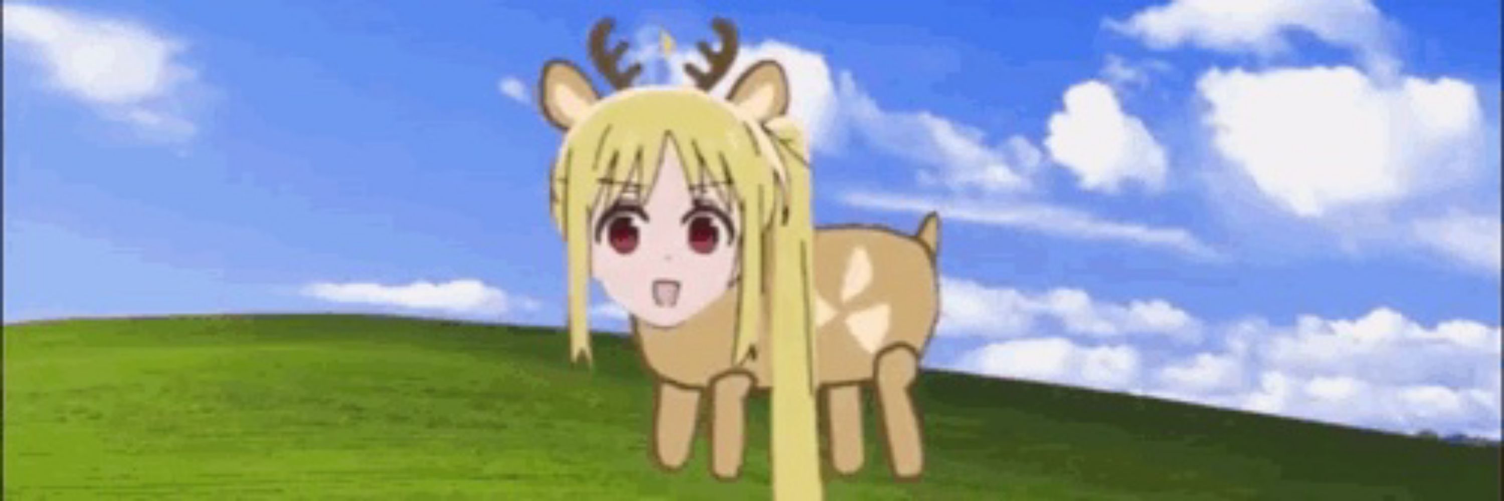 Nijika deer (real)