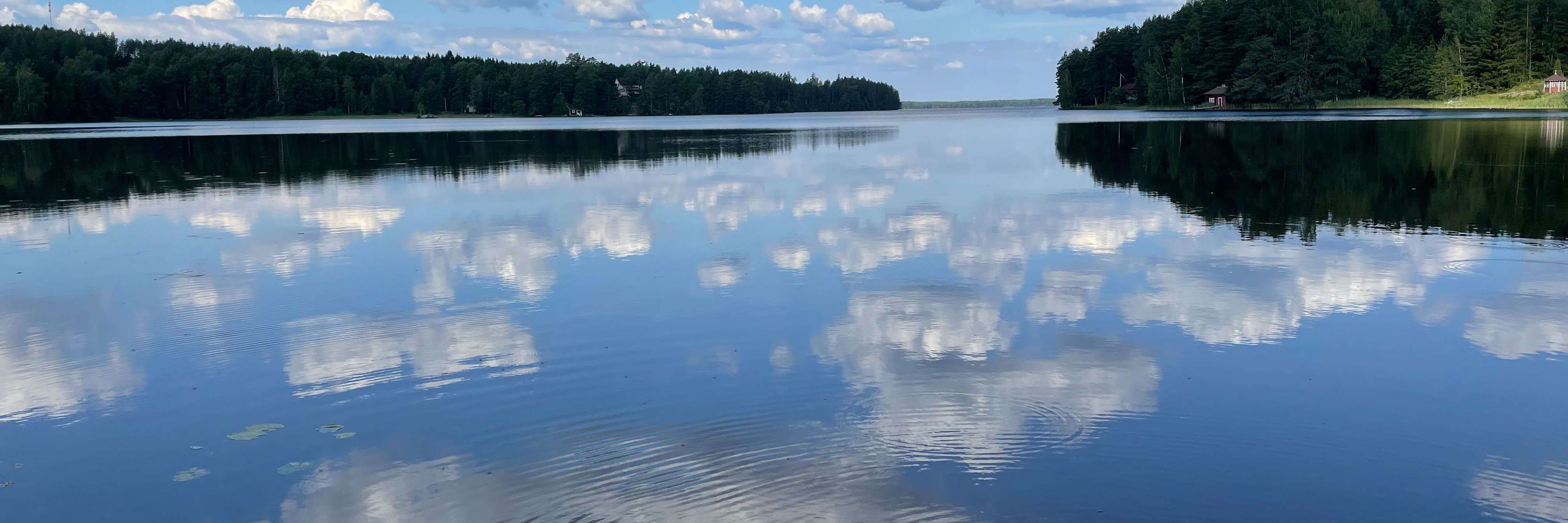 Antton Lounasheimo