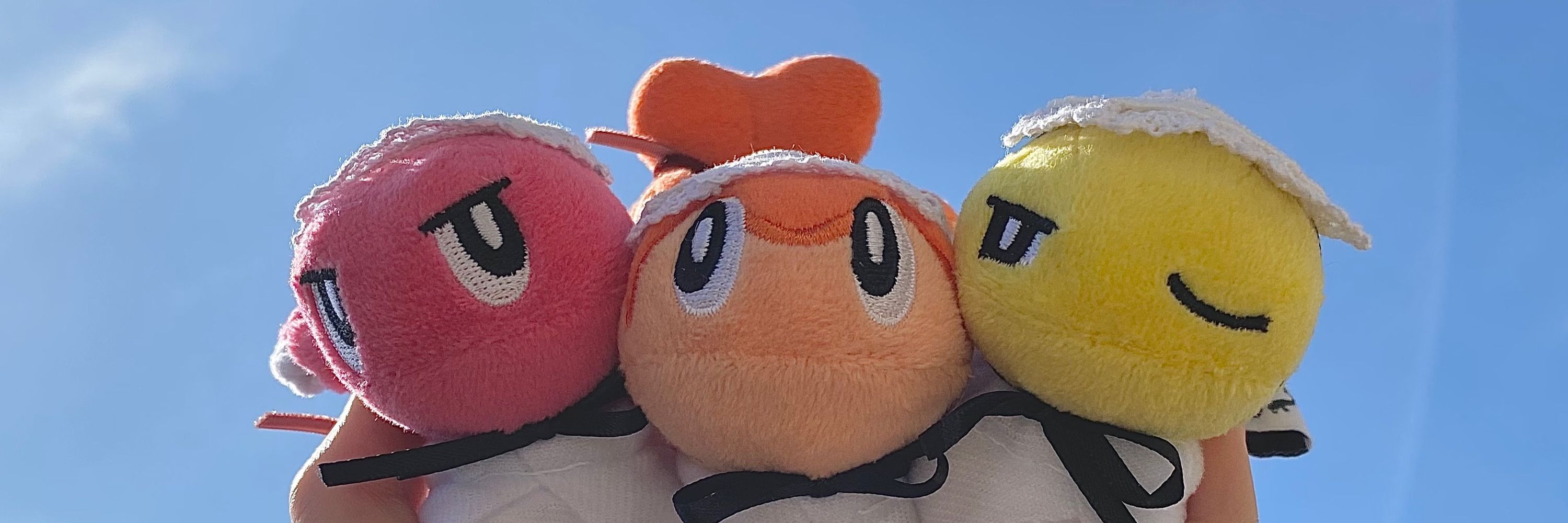 ゴツメ🍣