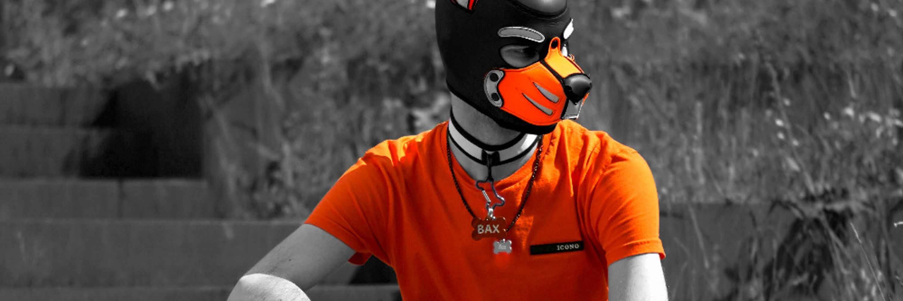 Bax