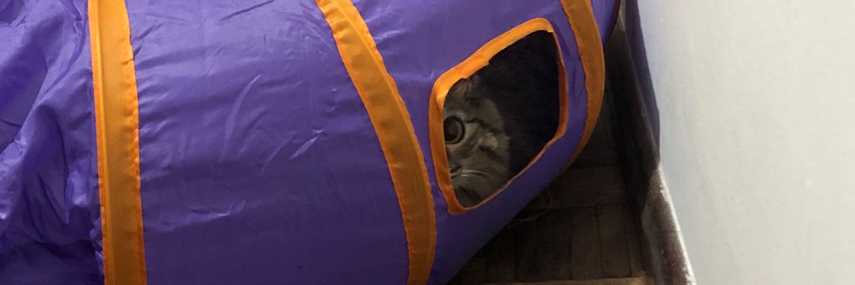 bibi