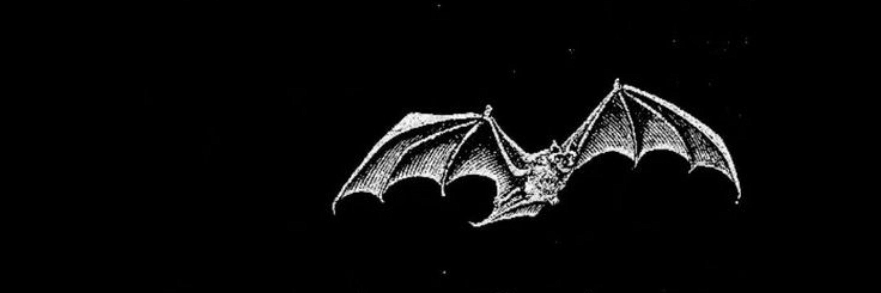 jessie. 🦇