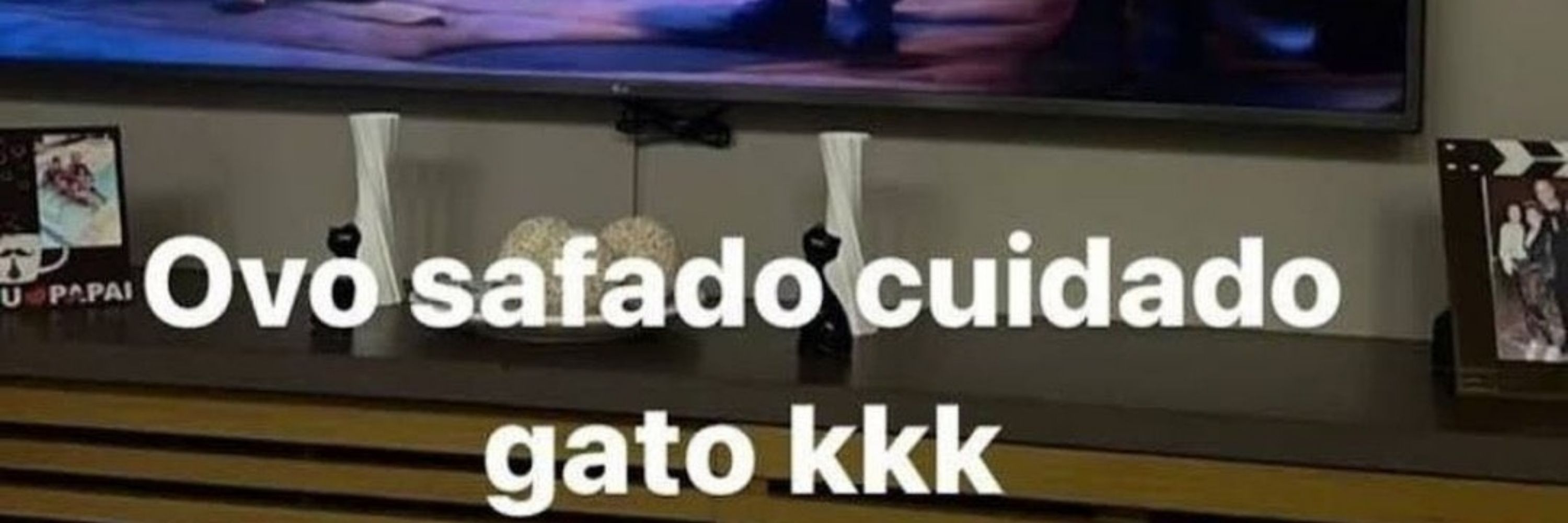 ibge ☀️🇧🇷