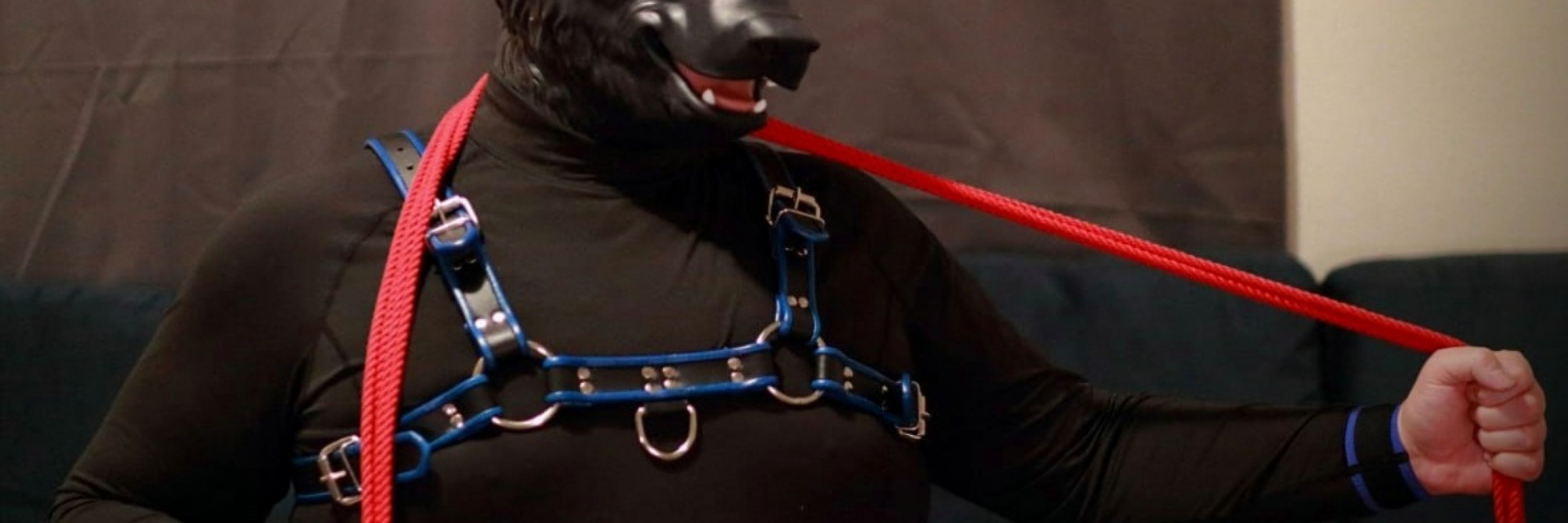 Pup Dozer