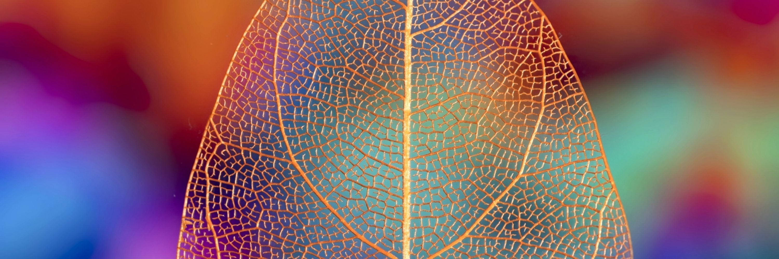 IR