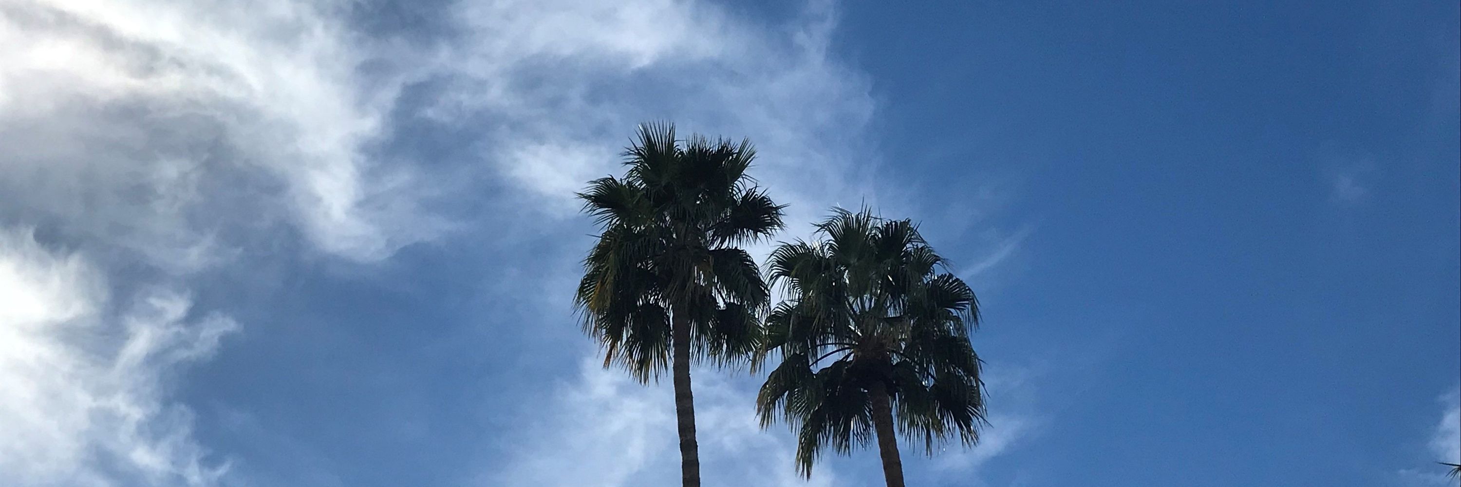 PalmSpringsMike