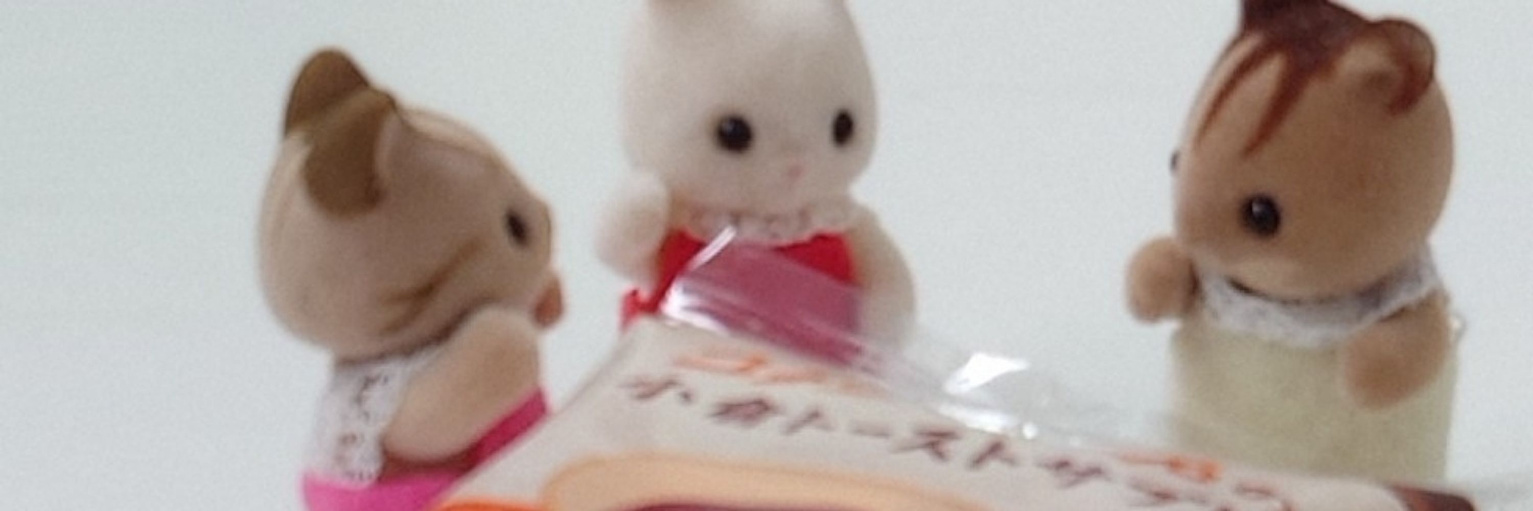 せや
