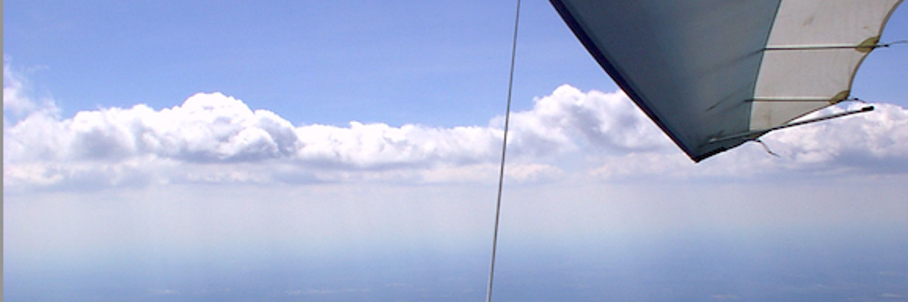 The Rogallo Foundation