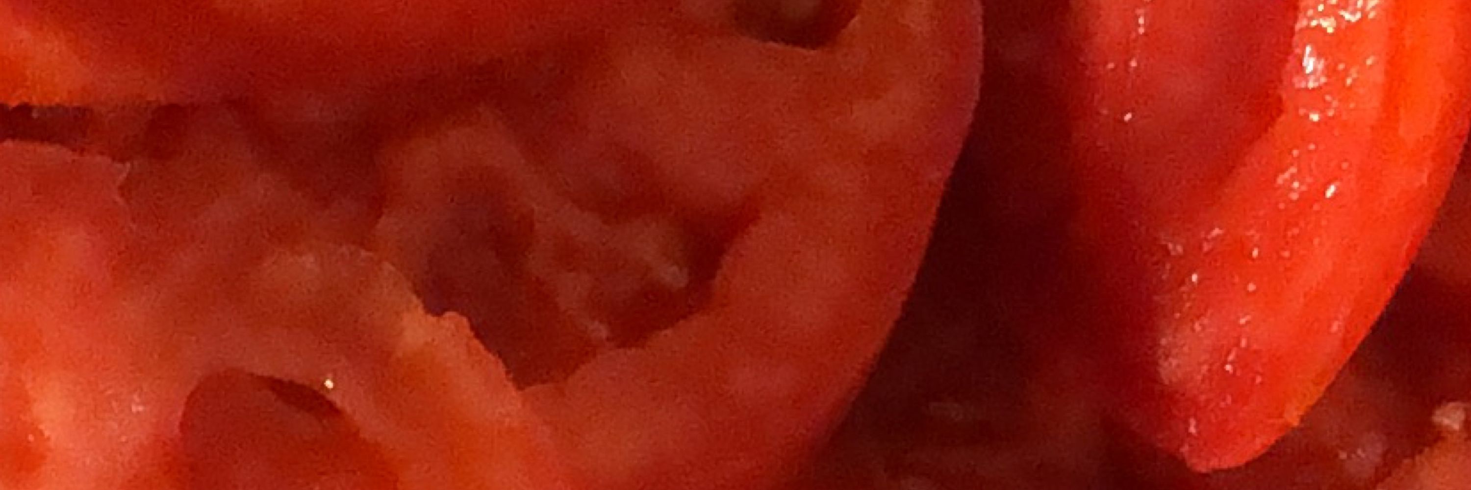 tomatudo