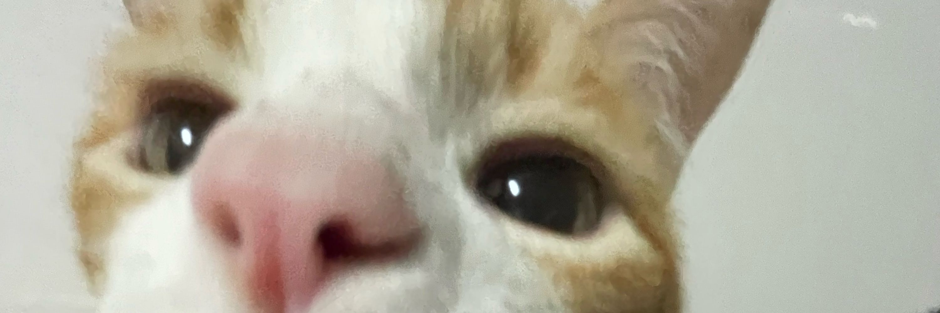 lu 👵🏻