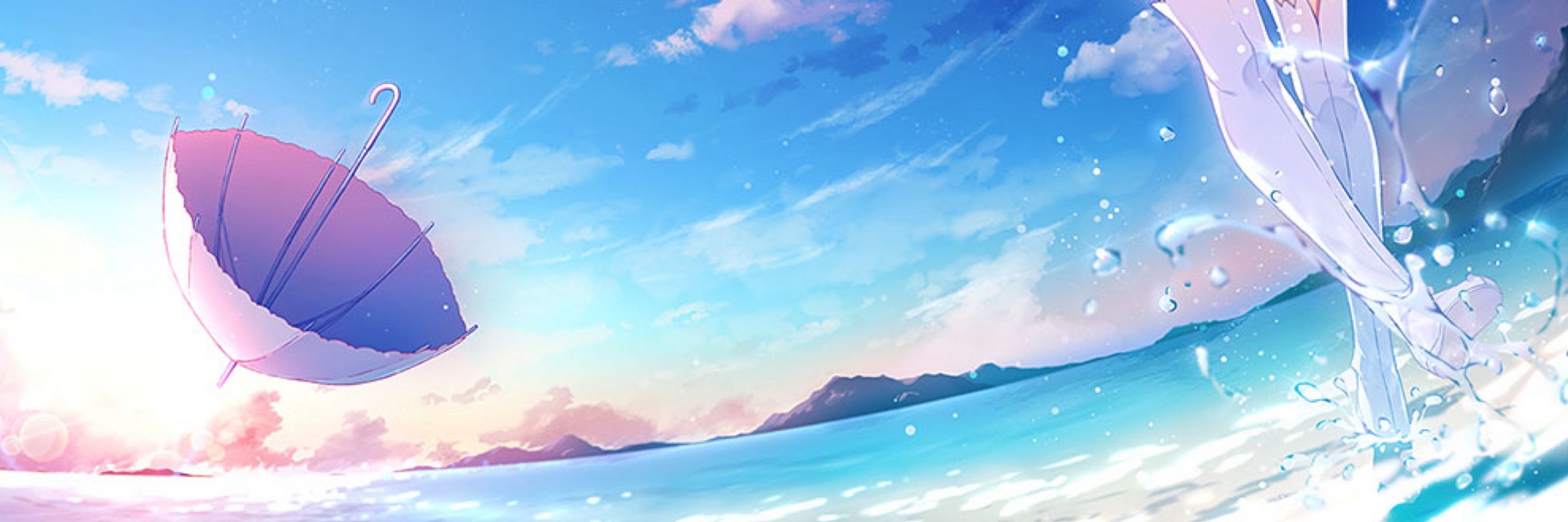 1031🐬