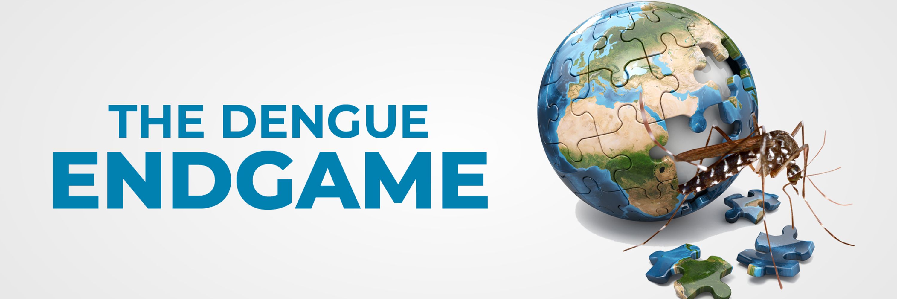 Dengue endgame summit